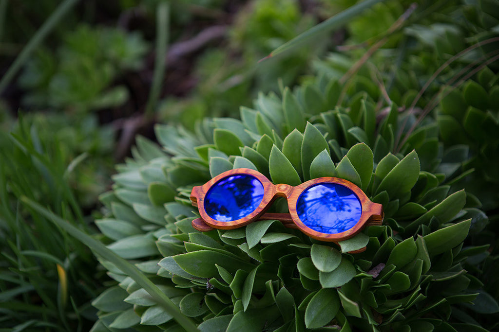 Women's Vintage Peacock Candy Wood Round with Reflective Blue Polarized Lenses